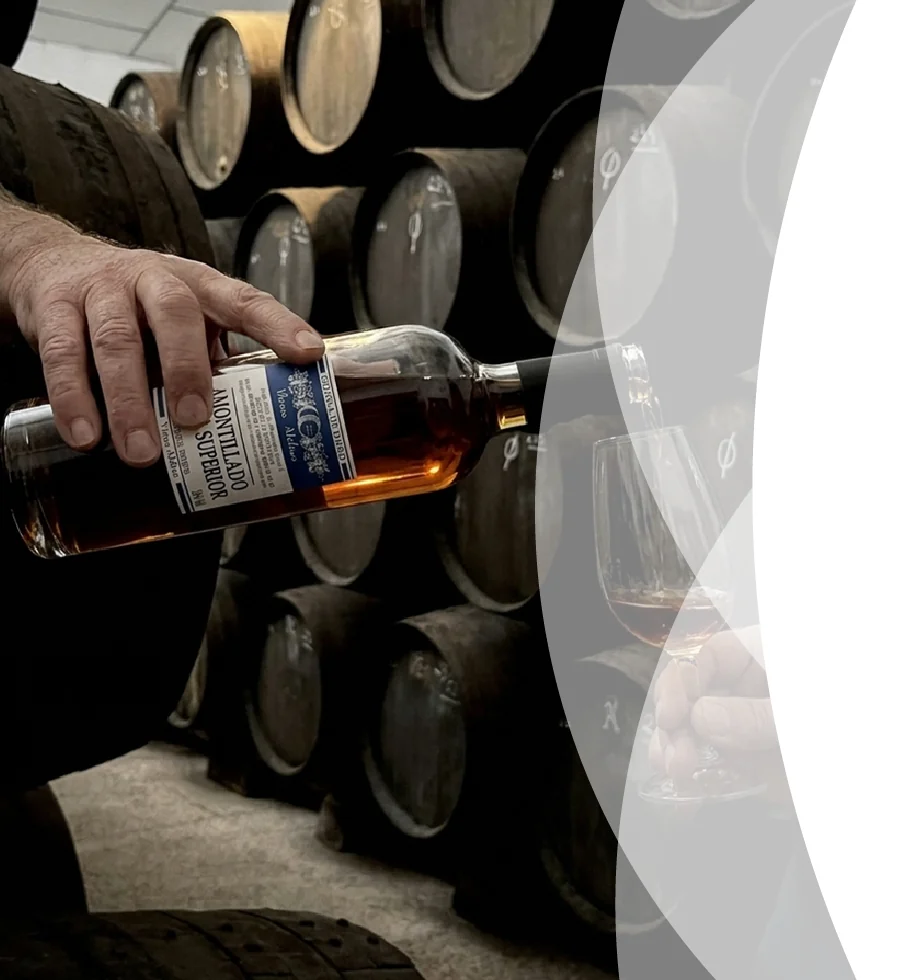 13 bodega de vinos en Jerez