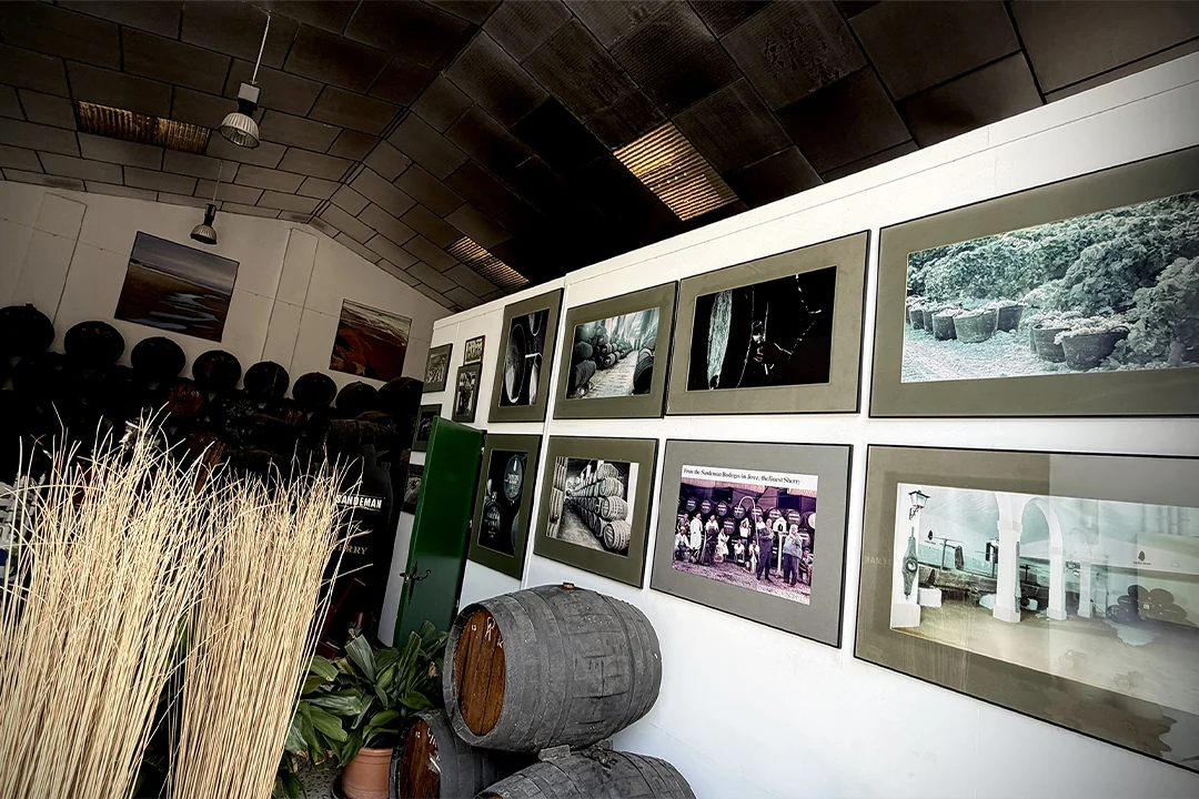 20 bodega de vinos en Jerez