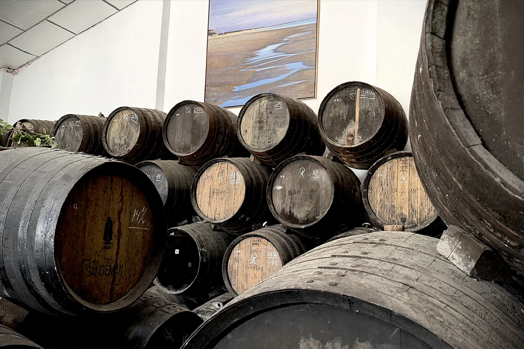 21 bodega de vinos en Jerez