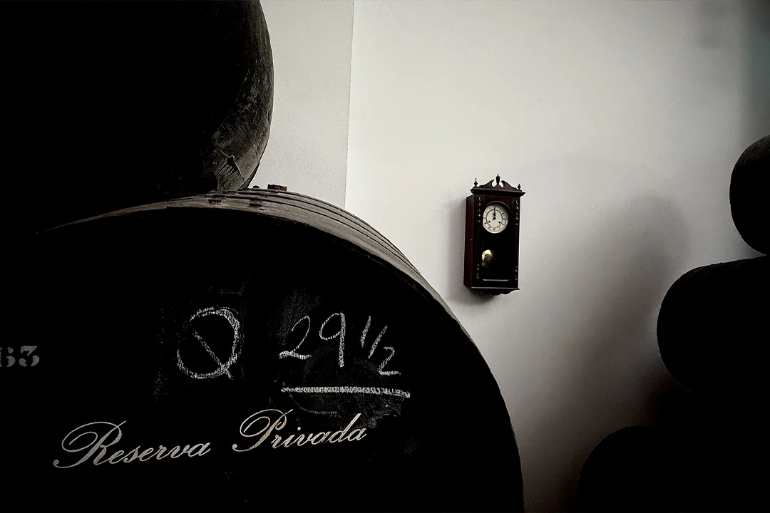 22 bodega de vinos en Jerez