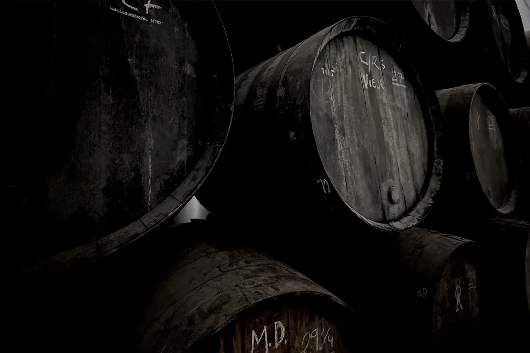 23 bodega de vinos en Jerez