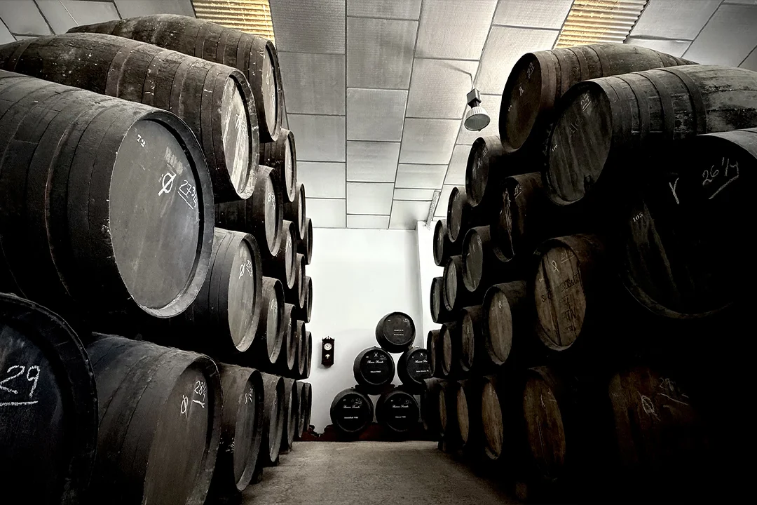 24 bodega de vinos en Jerez