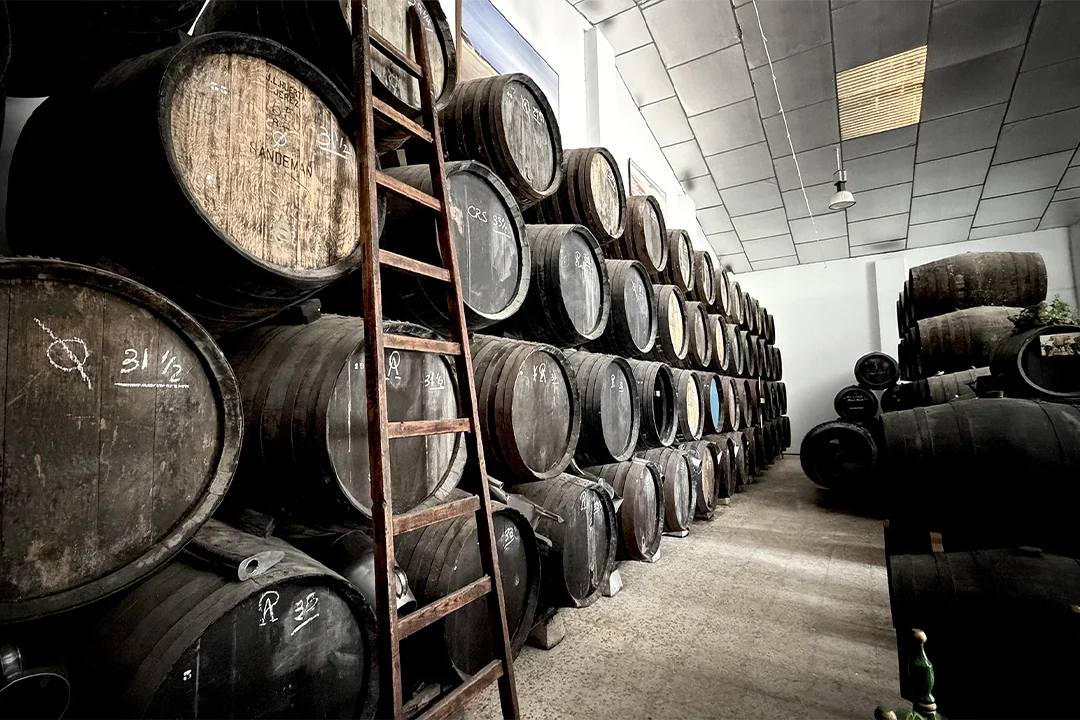 26 bodega de vinos en Jerez