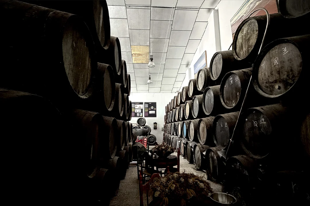 28 bodega de vinos en Jerez